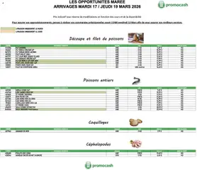 Prévisualisation de Promocash Opportunités Marée du magasin Promocash formulaire valide 17/03/2026