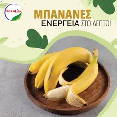 Προεπισκόπηση φυλλαδίου Προσφορές από το κατάστημα Γαλαξίας σε ισχύ από 20/01/2026