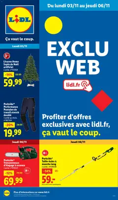 Prévisualisation de Catalogue les bonnes affaires exclu web du magasin LIDL formulaire valide 03/11/2025