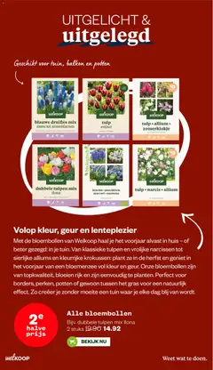 Voorbeeld van Folder van winkel Welkoop geldig vanaf 20-10-2025 | Pagina: 33