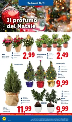 Anteprima dell'opuscolo Black Friday dal negozio Lidl valido da 24/11/2025 | Pagina: 28
