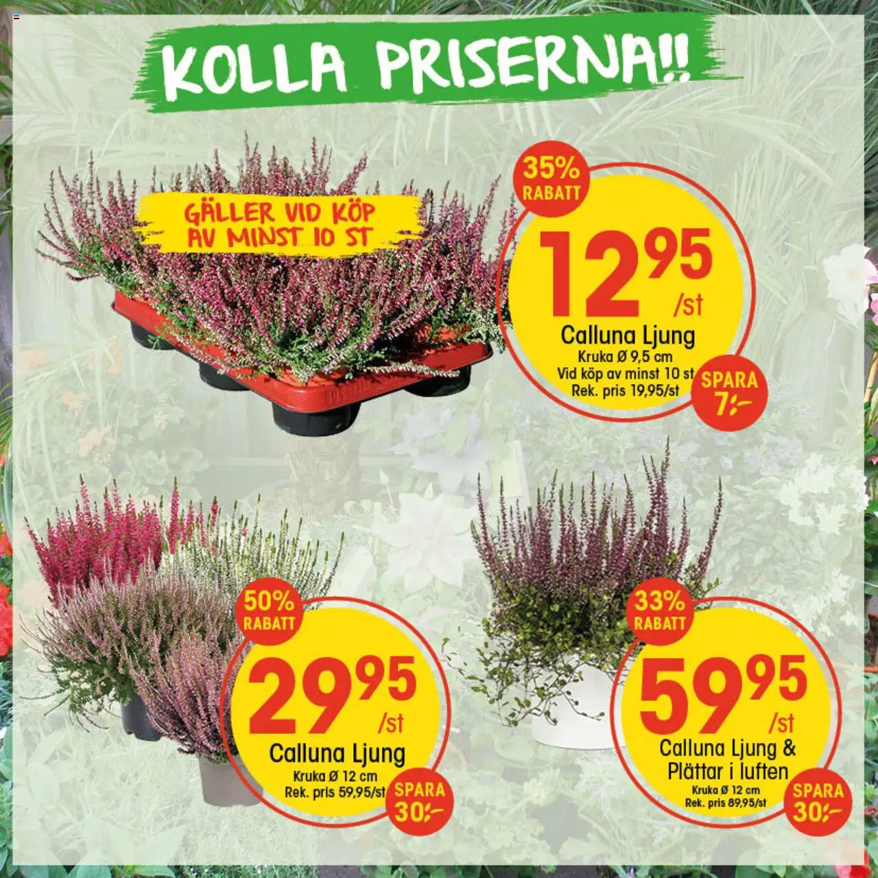 Aktuella reklamblad EKO är giltig 08/09 2025 > Veckans Erbjudanden gäller från 08/09/2025 till 14/09/2025 sidnummer 1