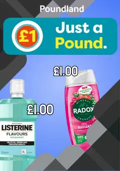 Preview of Poundland Poundland - Offers valid from 14/04/2026