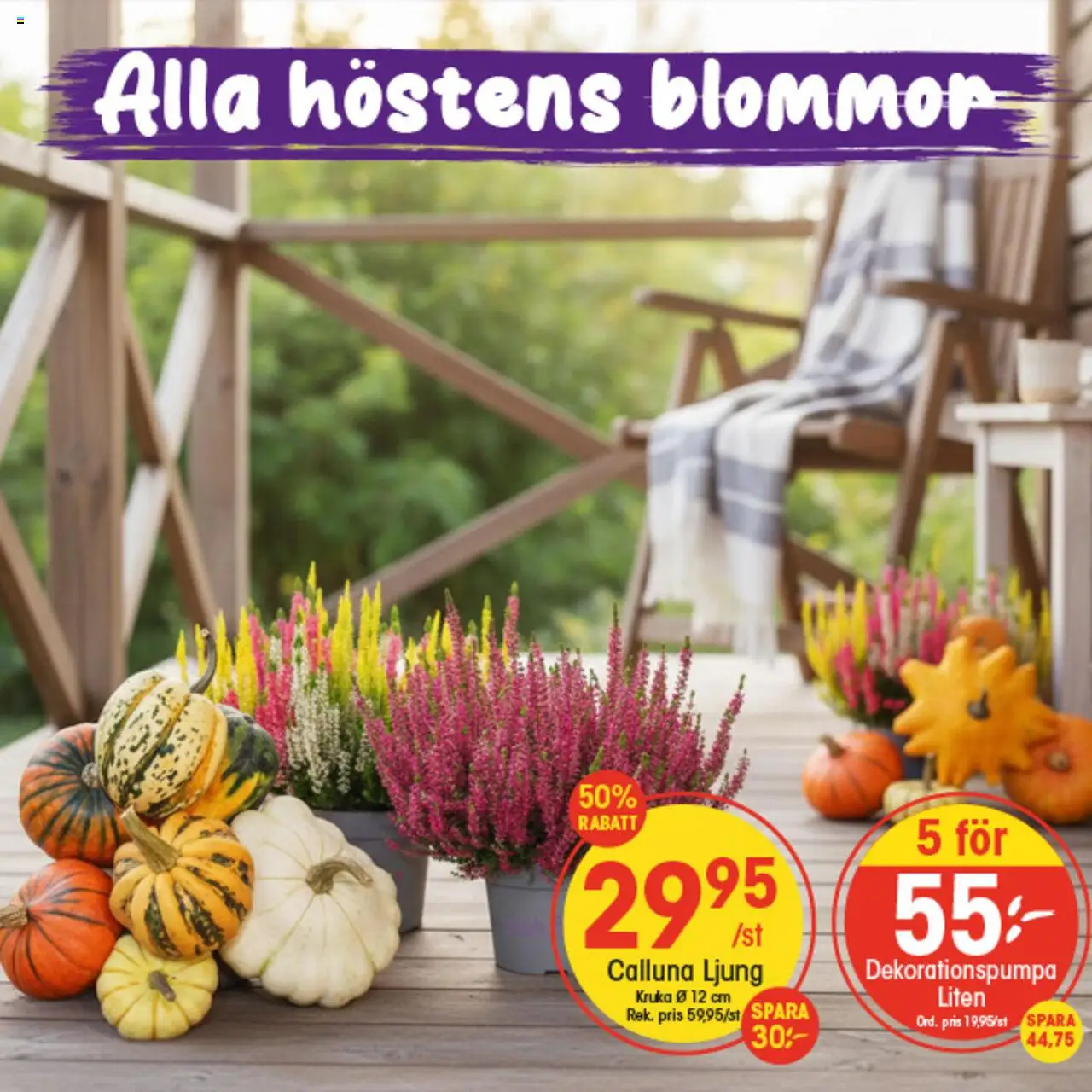 Aktuella reklamblad EKO är giltig 06/10 2025 > Veckans Erbjudanden gäller från 06/10/2025 till 12/10/2025 sidnummer 1