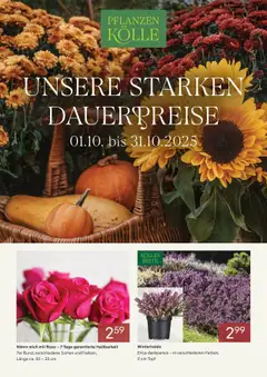 Vorschau von dem Prospekt des Geschäftes Pflanzen-Kölle, gültig ab dem 30.09.2025