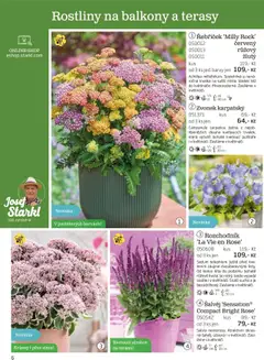 Náhled nabídky: Starkl Katalog podzim 2025 platný od 01.08.2025 | Strana: 6