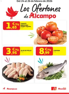 Vista previa del folleto de la tienda Alcampo válido desde el 24/02/2026 