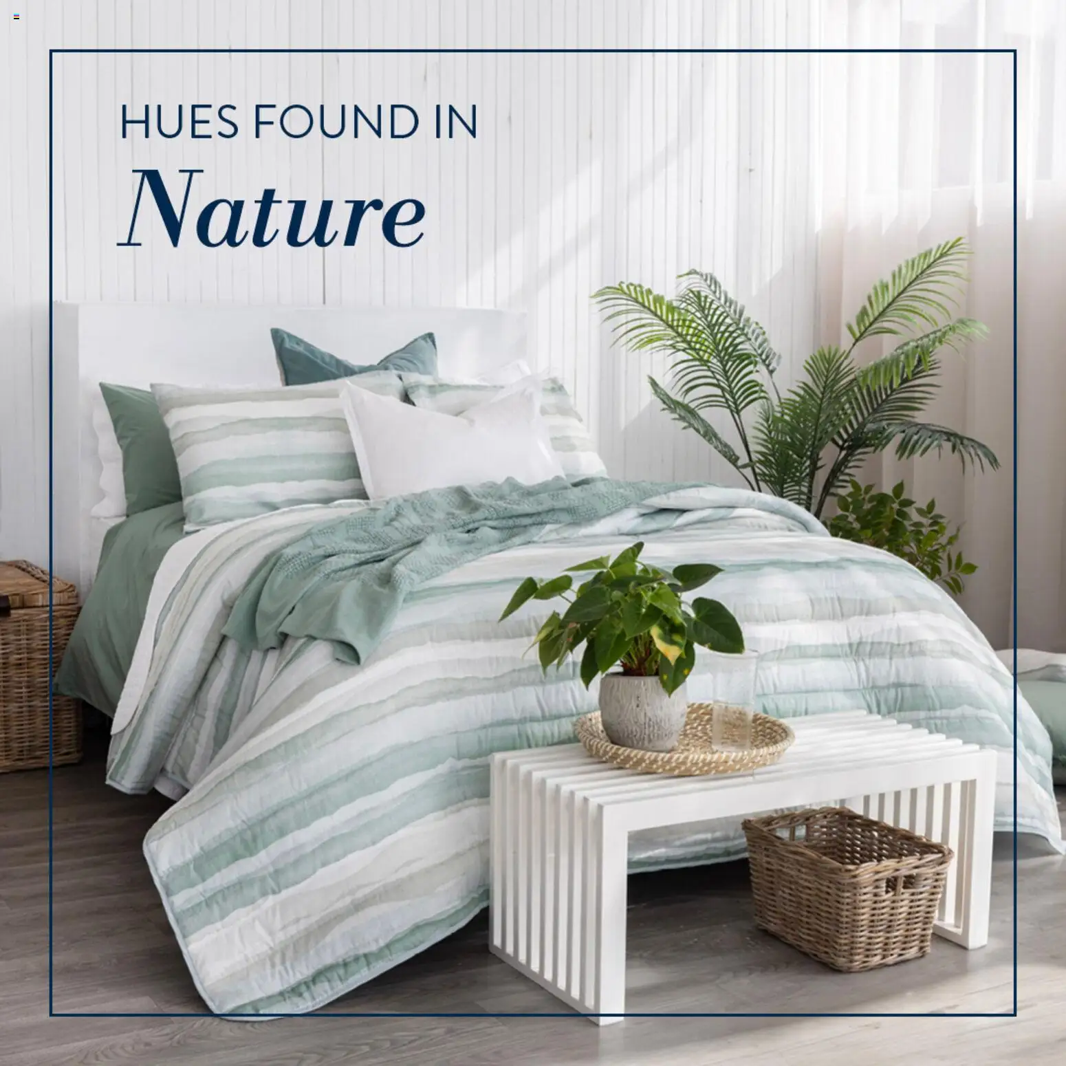 Preview of Volpes flyer valid from 25/11/2025