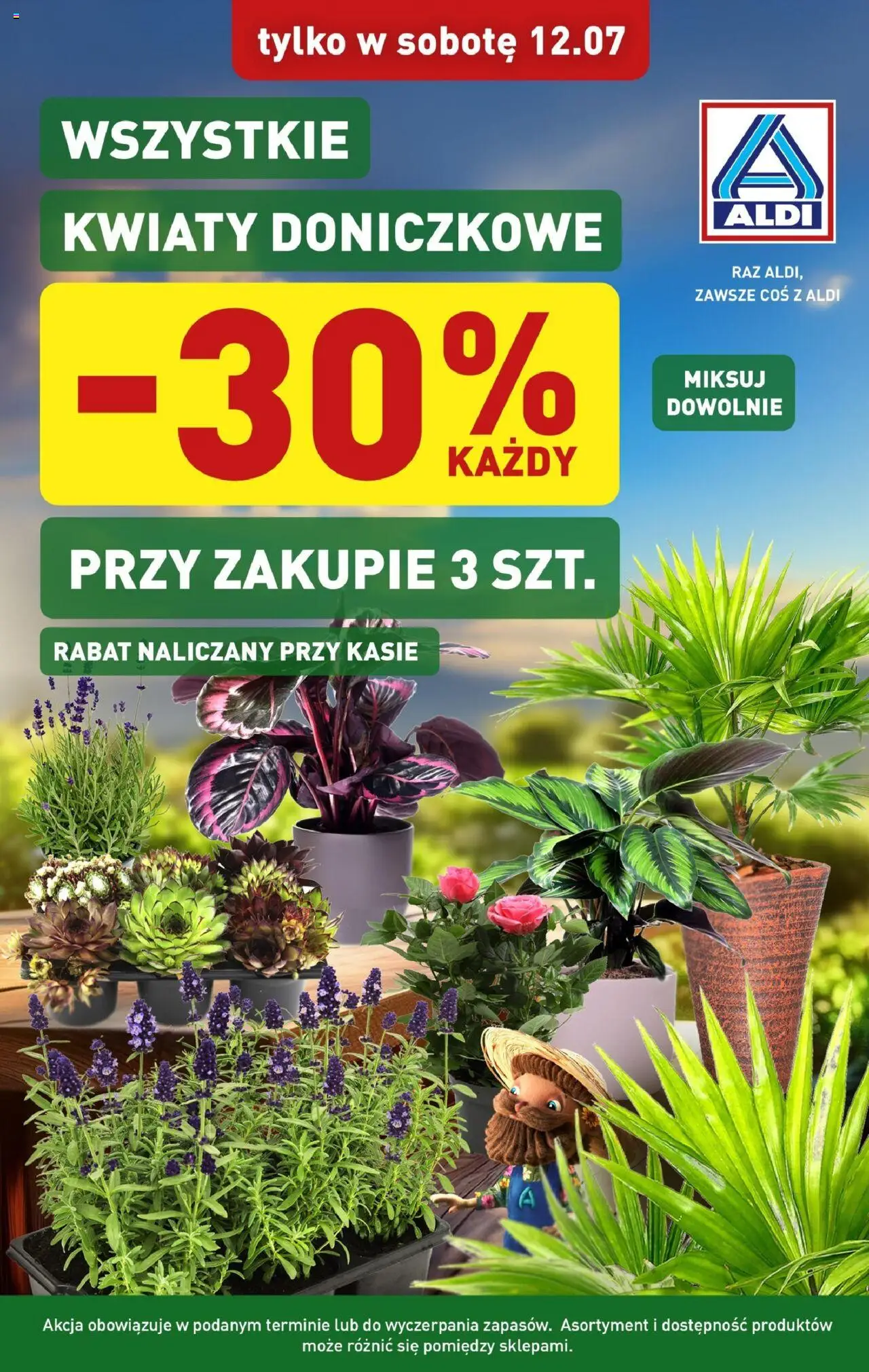 Aldi Promocja kwiaty od 12.07.2025 - Nowa Gazetka - Numer strony 1 - Kwiaty, Kwiaty doniczkowe
