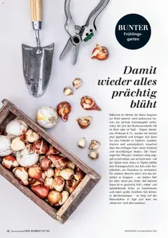 Vorschau der Angebote: Dehner Flugblatt gültig ab 10.10.2025 | Seite: 18