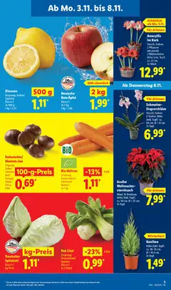 Vorschau von dem Prospekt des Geschäftes Lidl, gültig ab dem 03.11.2025 | Seite: 3