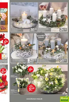 Vorschau von dem Prospekt des Geschäftes Blumen Risse, gültig ab dem 13.11.2025 | Seite: 5