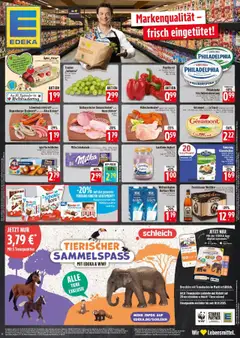 Vorschau von dem Prospekt des Geschäftes Entdecke, gültig ab dem 10.09.2025
