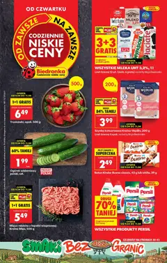 Náhled nabídky: Biedronka Polsko Biedronka Polsko leták - Codziennie niskie ceny platný od 09.04.2026
