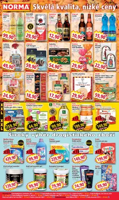 Náhled nabídky: Norma Leták platný od 17.11.2025 | Strana: 4