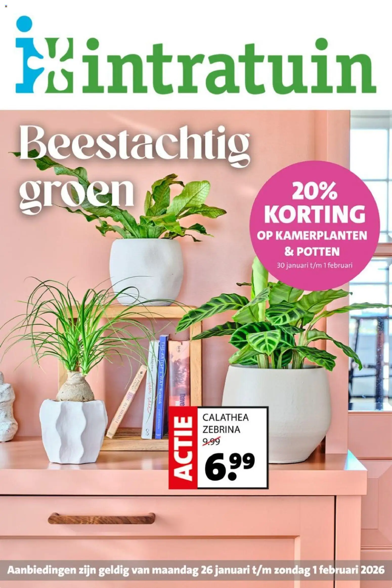 Voorbeeld van Folder van winkel Intratuin geldig vanaf 26-01-2026 - Kamerplanten
