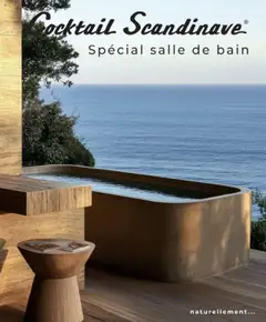 Prévisualisation de Spécial salle de bain du magasin Cocktail Scandinave formulaire valide 27/06/2025