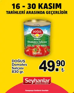 Seyhanlar Market Katalog 16.11.2025 - Broşürünün önizlemesi | Strana: 10