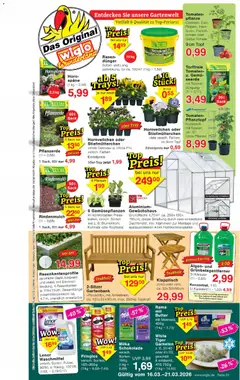 Vorschau von dem Prospekt des Geschäftes Wiglo Wunderland, gültig ab dem 16.03.2026