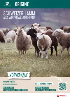 Vorschau des Merkblatts Aktionen Schweizer Lamm vom Shop Prodega gültig von 26.01.2026 bis 27.02.2026