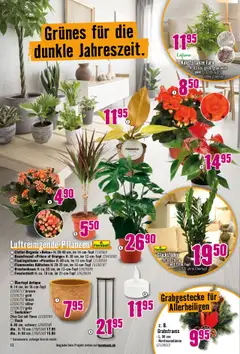 Vorschau des Merkblatts Aktionen vom Shop Hornbach gültig von 13.10.2025 bis | Seite: 12