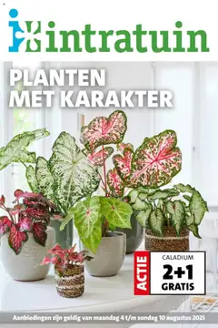 Voorbeeld van Folder van winkel Intratuin geldig vanaf 04-08-2025