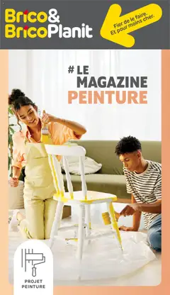Prévisualisation de Magazine peinture du magasin Brico formulaire valide 11/05/2025