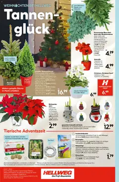 Vorschau von dem Prospekt des Geschäftes Hellweg, gültig ab dem 17.11.2025 | Seite: 16