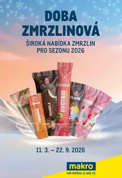 Náhled nabídky: Makro Makro leták - Doba zmrzlinová platný od 11.03.2026