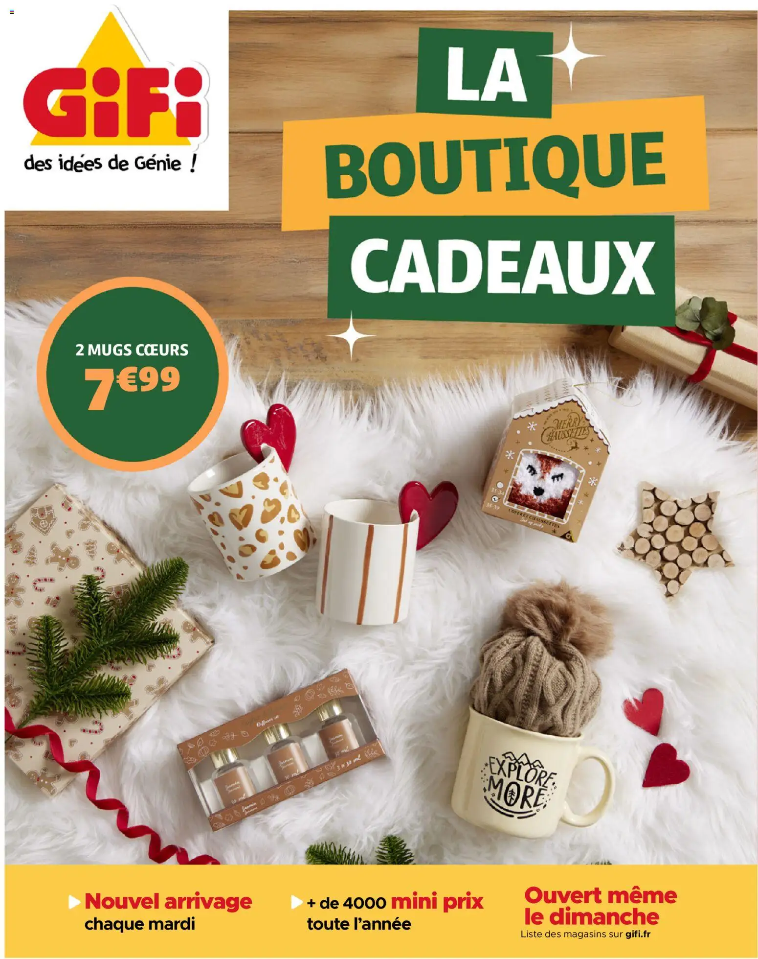 Prévisualisation de Catalogue du magasin GiFi formulaire valide 16/12/2025