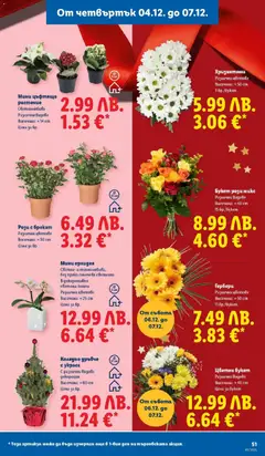 Преглед на Седмична брошура 49 от магазин Лидл - Офертата е валидна от 01.12.2025 | Cтраница: 51