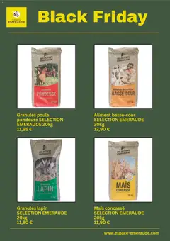 Prévisualisation de Black Friday du magasin Espace Emeraude formulaire valide 25/11/2025 | Page: 5
