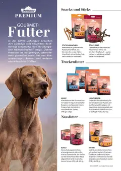 Vorschau der Angebote: Dehner Flugblatt gültig ab 10.10.2025 | Seite: 80