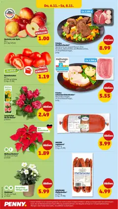 Vorschau von dem Prospekt des Geschäftes Penny, gültig ab dem 03.11.2025 | Seite: 42