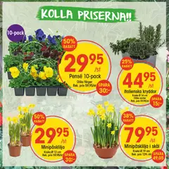 Förhandsgranska reklamblad EKO erbjudanden från butik EKO gäller från 02/03/2026