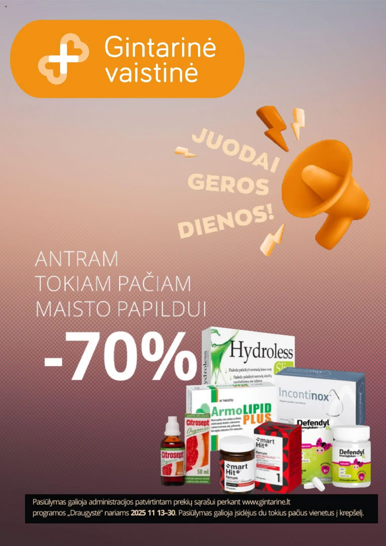 Gintarinė parduotuvės leidinio Black Friday galiojančio nuo 2025.11.13 peržiūra