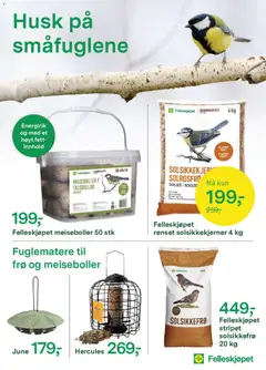 Forhåndsvis Kundeavis fra butikk Felleskjøpet gyldig fra 27/10/2025 | Side: 2