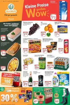 Vorschau von dem Prospekt des Geschäftes Globus, gültig ab dem 17.11.2025