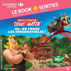 Prévisualisation de Le book de vos sorties du magasin Carrefour City formulaire valide 24/03/2025