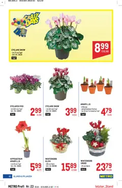 Vorschau der Angebote: Metro Angebote Profi gültig ab 30.10.2025 | Seite: 62