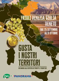 Anteprima dell'opuscolo Volantino Territori dal negozio PAM valido da 25/09/2025