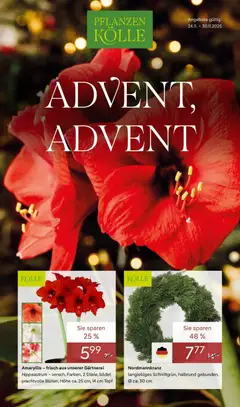 Vorschau von dem Prospekt des Geschäftes Pflanzen-Kölle, gültig ab dem 23.11.2025