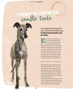 Vorschau des Merkblatts Magazin vom Shop Fressnapf gültig von 01.09.2025 bis | Seite: 42