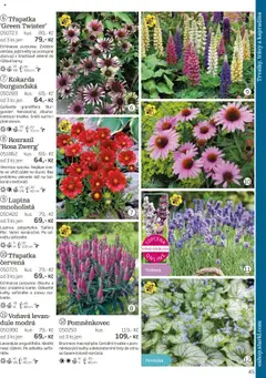 Náhled nabídky: Starkl Katalog podzim 2025 platný od 01.08.2025 | Strana: 45