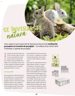 Previzualizarea de cataloage: Fressnapf Catalog - Vară valabil de la 05.05.2025 | Pagina: 48