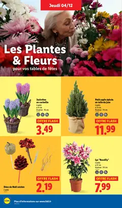 Prévisualisation de Catalogue de la semaine 49 du magasin LIDL formulaire valide 04/12/2025 | Page: 42