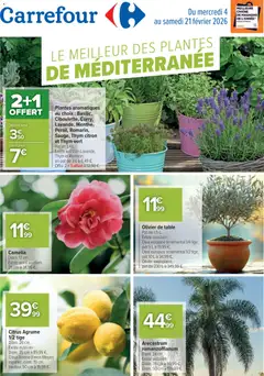 Prévisualisation de Le meilleur des plantes méditerranéennes du magasin Carrefour formulaire valide 04/02/2026