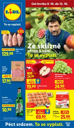 Náhled nabídky: Lidl Leták platný od 09.10.2025