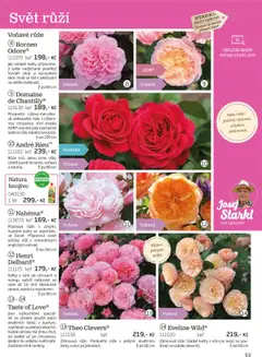 Náhled nabídky: Starkl Katalog podzim 2025 platný od 01.08.2025 | Strana: 63