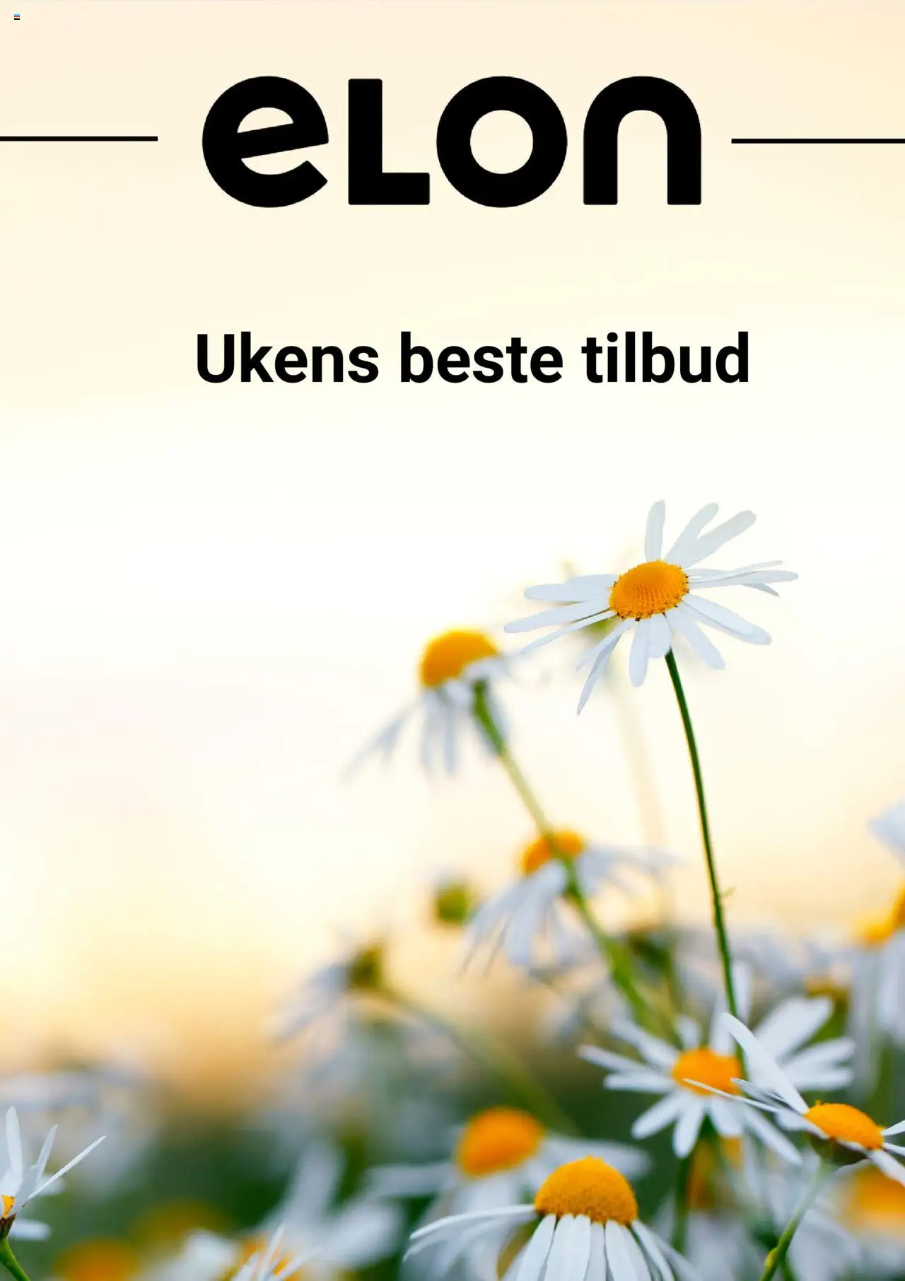 Kundeavis Elon gyldig fra 06/08/2025 - Sidenummer 1